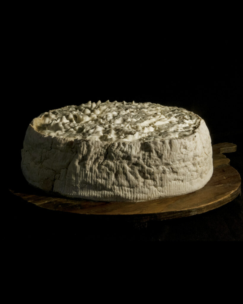 Gorgonzola e miele delle api